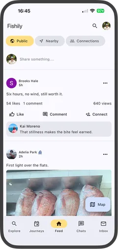 Fishily feed showing a recent catch