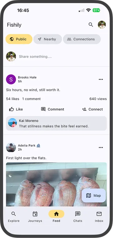 Fishily feed with posts, likes, comments, and a map shortcut.